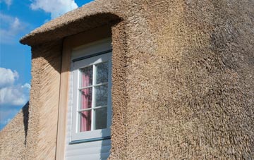 Sittyton thatch roof disadvantages
